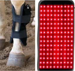 SynlyteTM  FLH 67 custom LED light pad for Horse Back