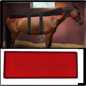 SynlyteTM FLH 1200 custom LED light pad for Horse Back