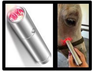 SynlyteTM  FLH11 LED torch light for cuts and abrasions