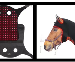 SynlyteTM FLH 49 custom LED light neck pad